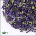 Elegant Herb Flower Tea Dried Violet Flower Tea For Sale